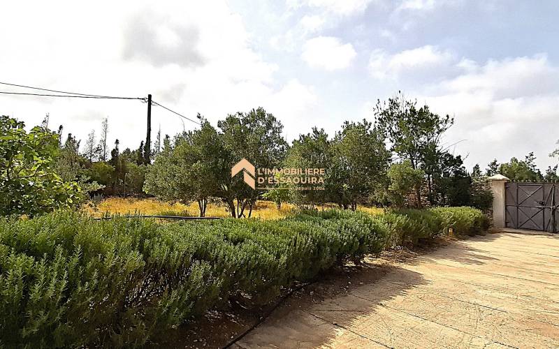 2 ch_Douar Laarab (1)